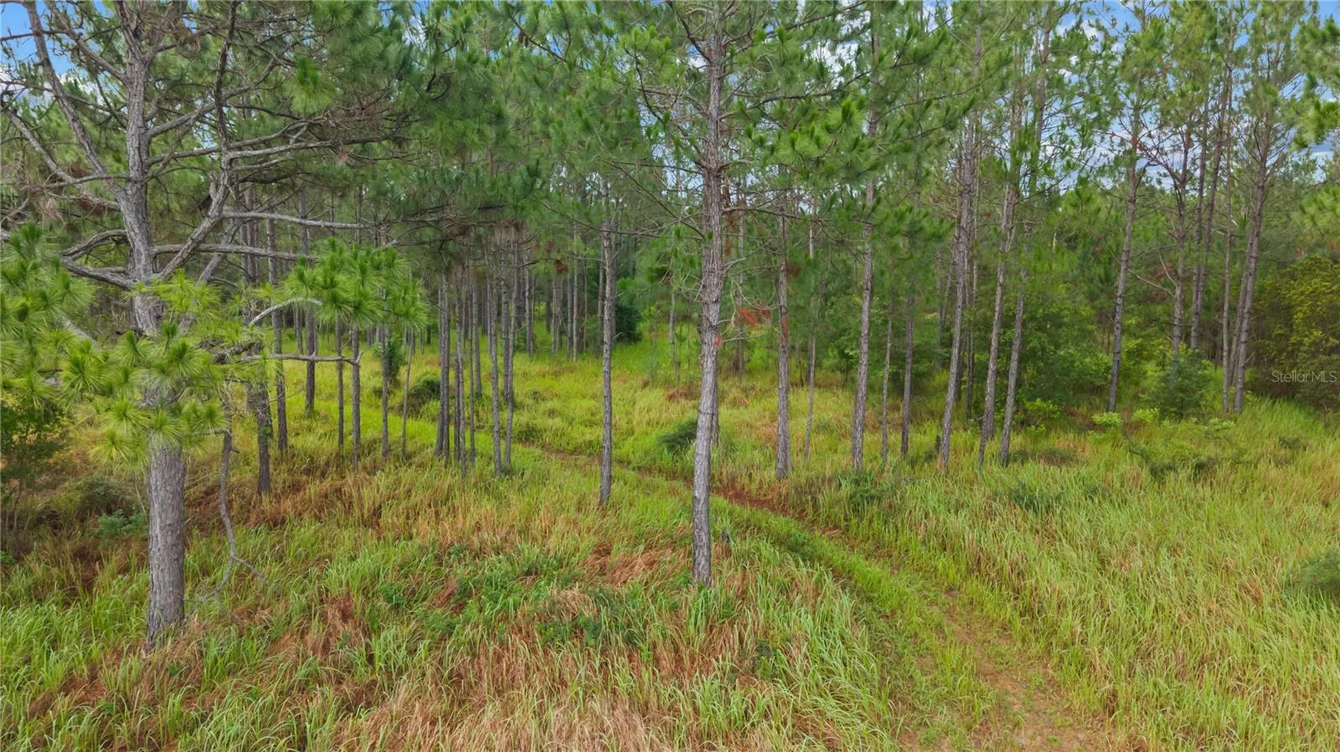 NE Us Highway 301 Hawthorne FL 32640