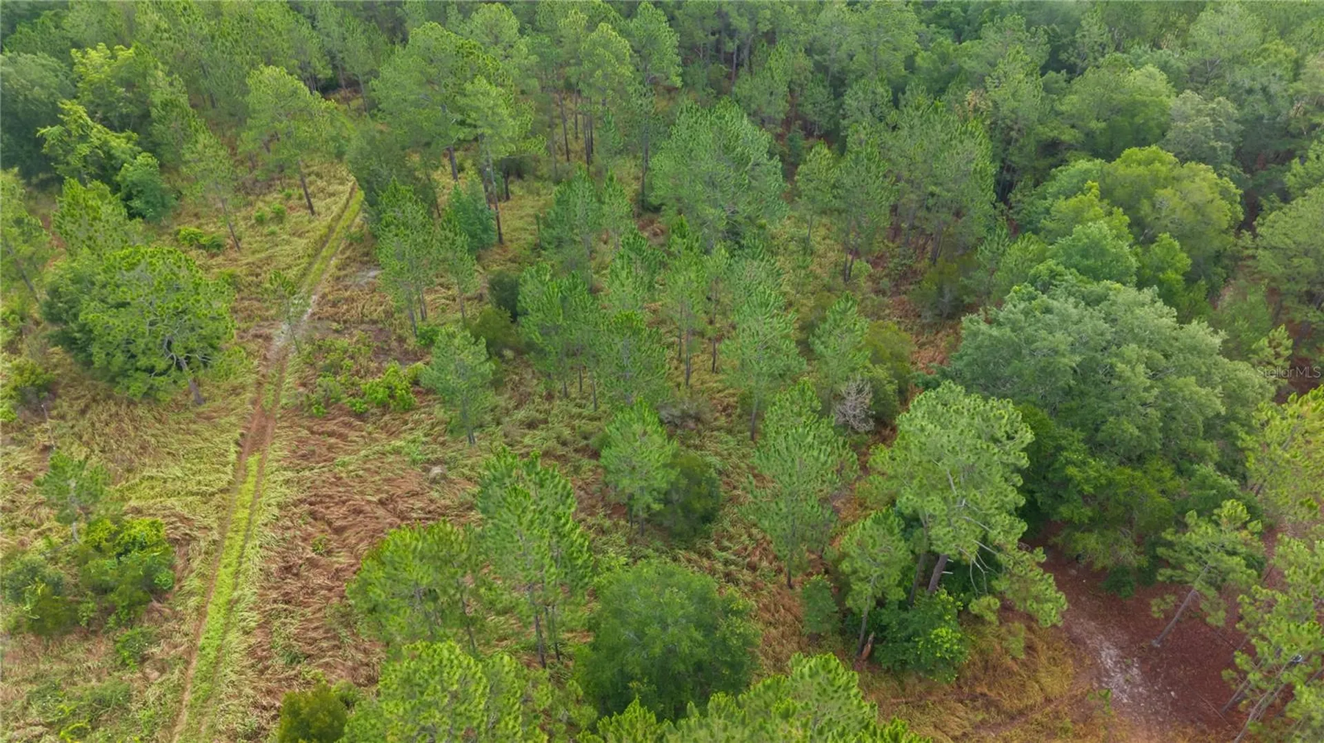 NE Us Highway 301 Hawthorne FL 32640