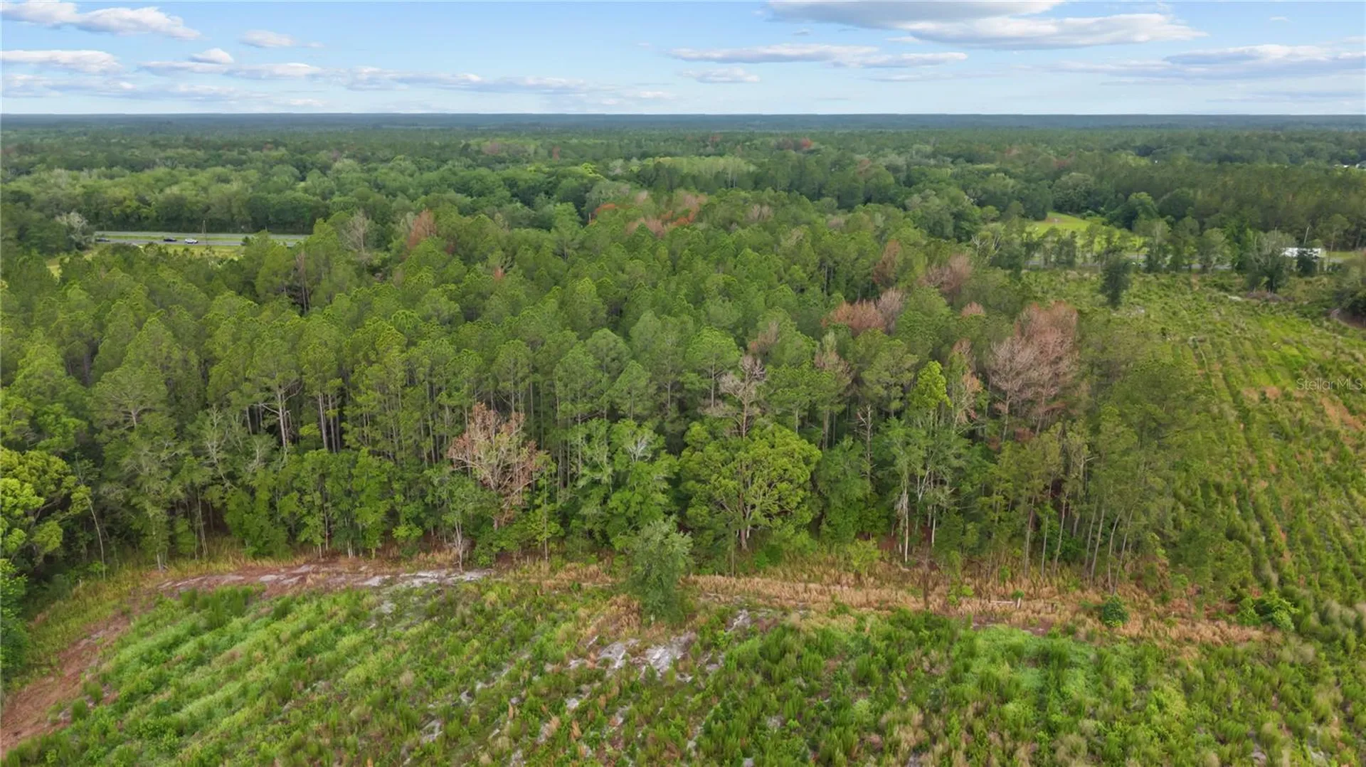 NE Us Highway 301 Hawthorne FL 32640