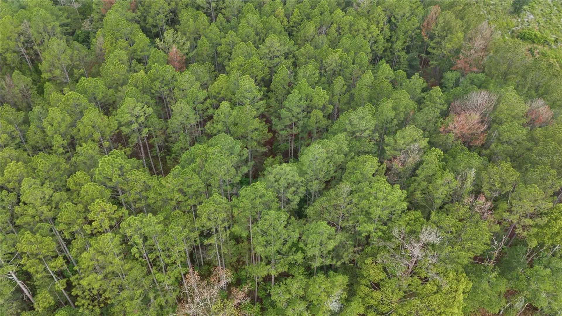NE Us Highway 301 Hawthorne FL 32640