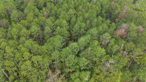 NE Us Highway 301 Hawthorne FL 32640