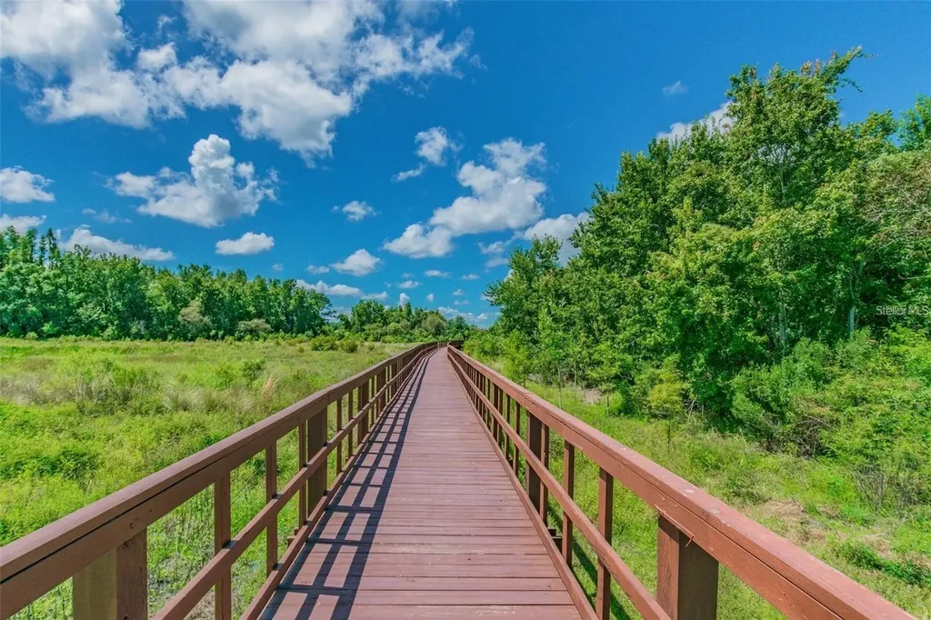 32373 Bannack Lane Wesley Chapel FL 33543