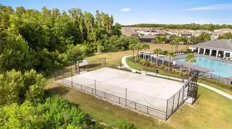 32373 Bannack Lane Wesley Chapel FL 33543