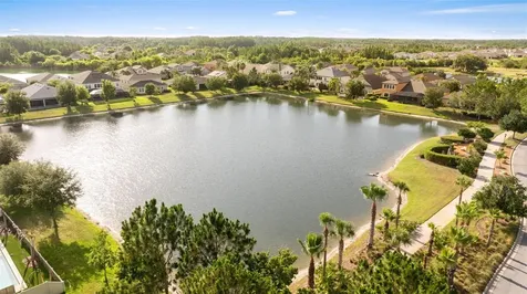 32373 Bannack Lane Wesley Chapel FL 33543