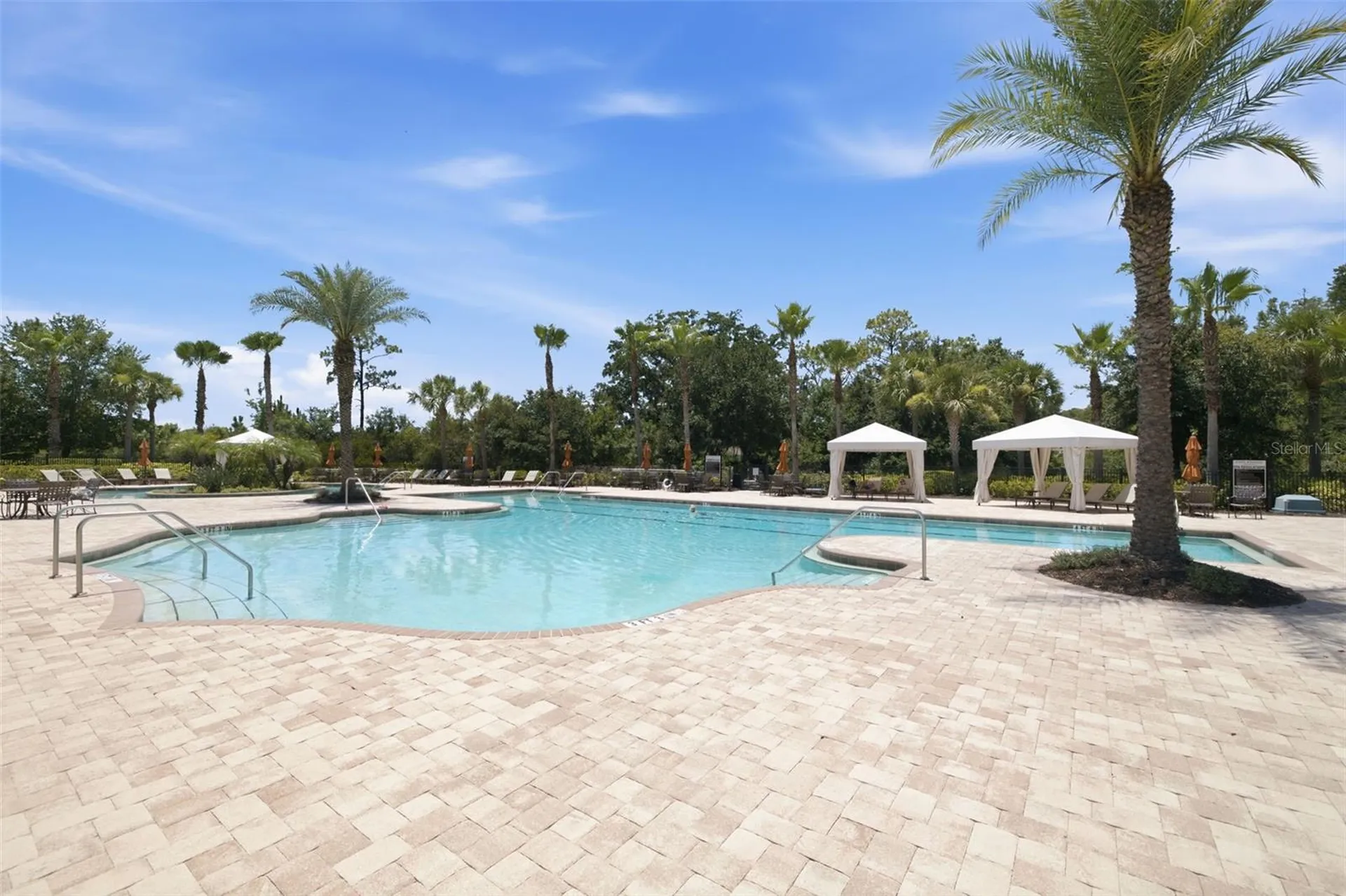 3254 Francoa Drive Odessa FL 33556