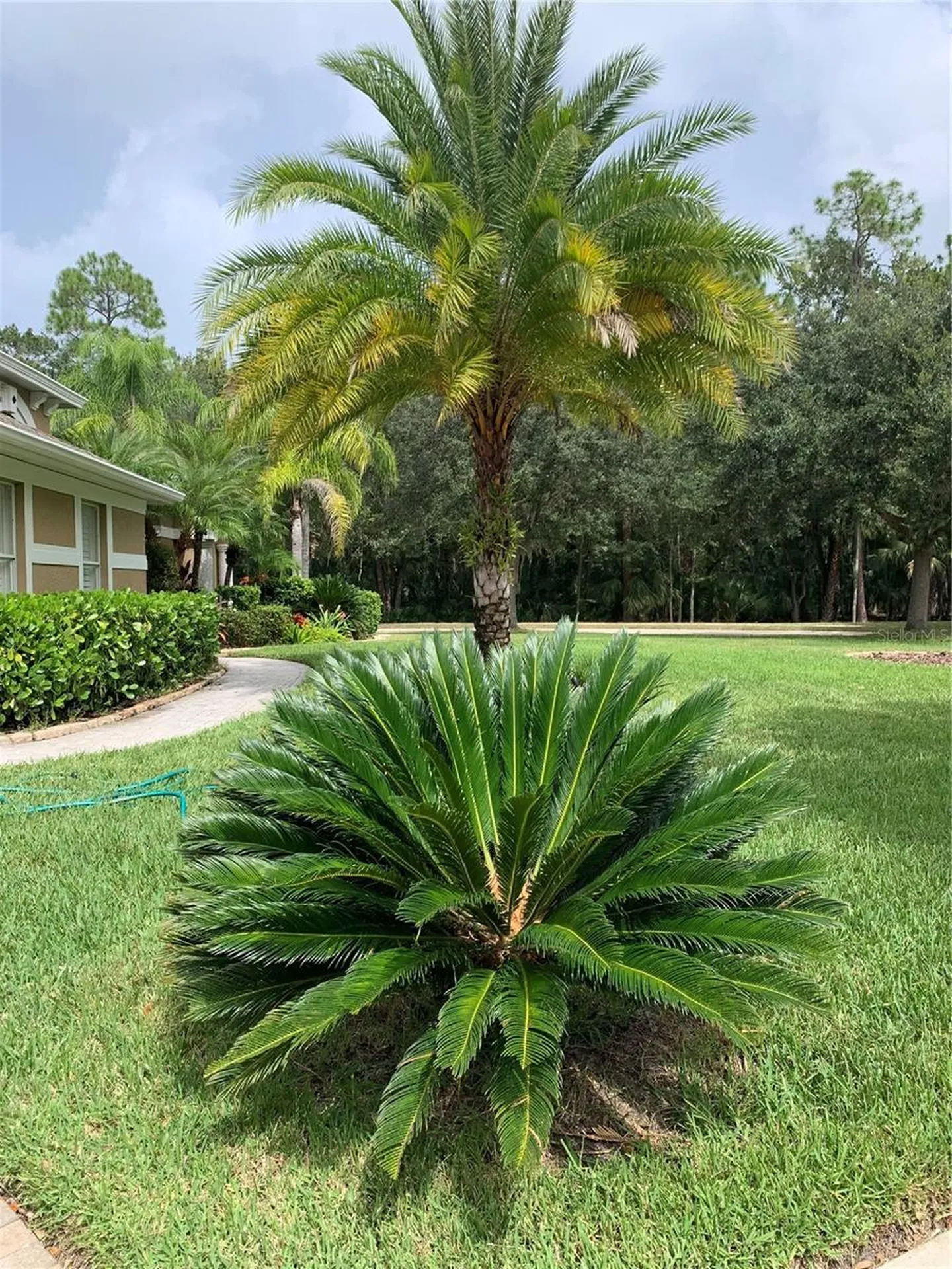 5018 Ashington Landing Drive Tampa FL 33647