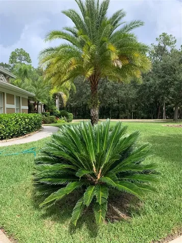 5018 Ashington Landing Drive Tampa FL 33647