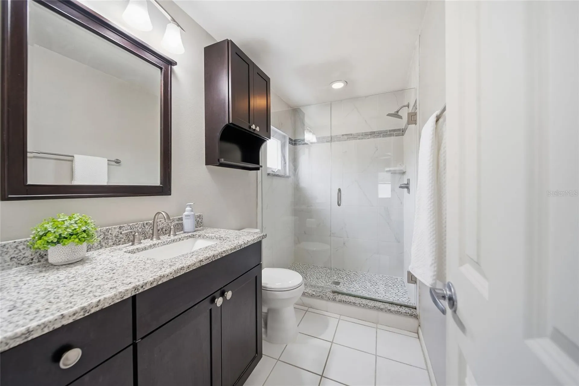 17513 Shadyside Circle Lutz FL 33549