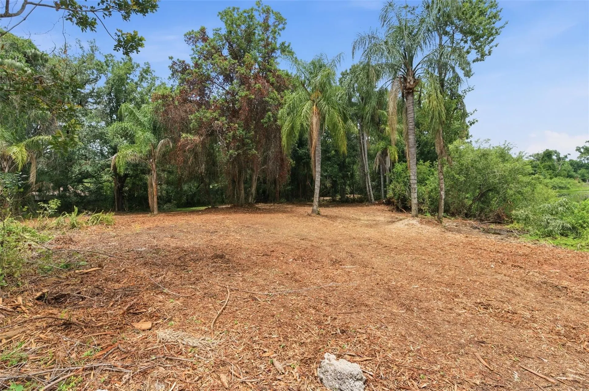 6409 Chiswick Court New Port Richey FL 34655