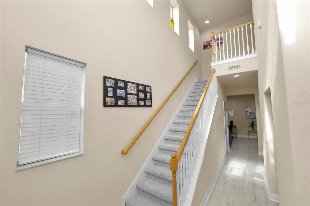 14621 Rocky Brook Drive Tampa FL 33625