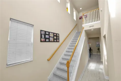 14621 Rocky Brook Drive Tampa FL 33625