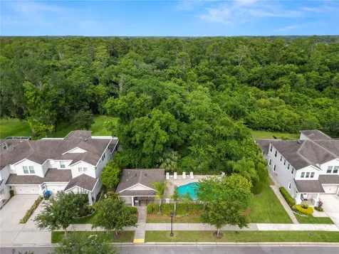 14621 Rocky Brook Drive Tampa FL 33625