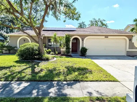 7242 Ashmore Drive New Port Richey FL 34653