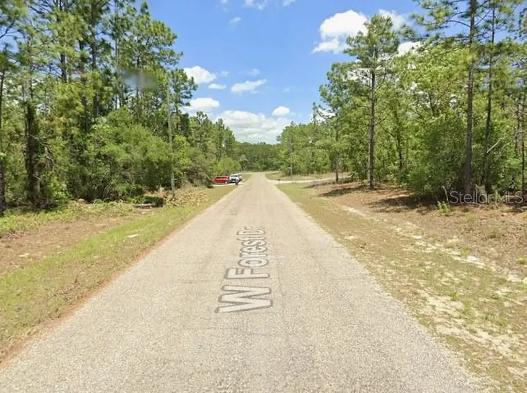 3765 W Forest Drive Citrus Springs FL 34433
