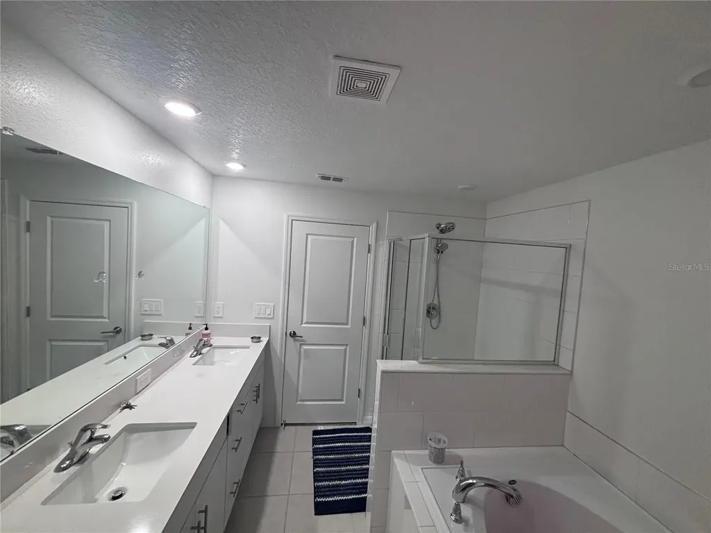 17747 Tawny Malt Place Land O Lakes FL 34637