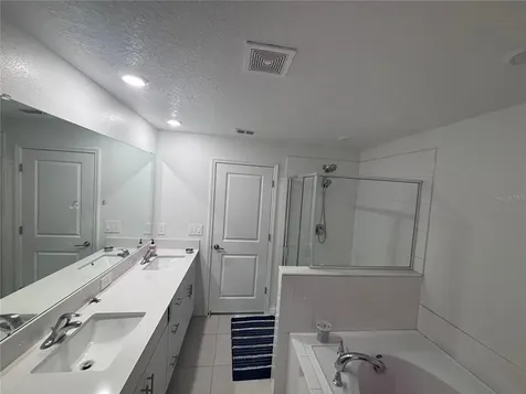 17747 Tawny Malt Place Land O Lakes FL 34637
