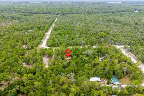 550 NW 73rd Way Bell FL 32619