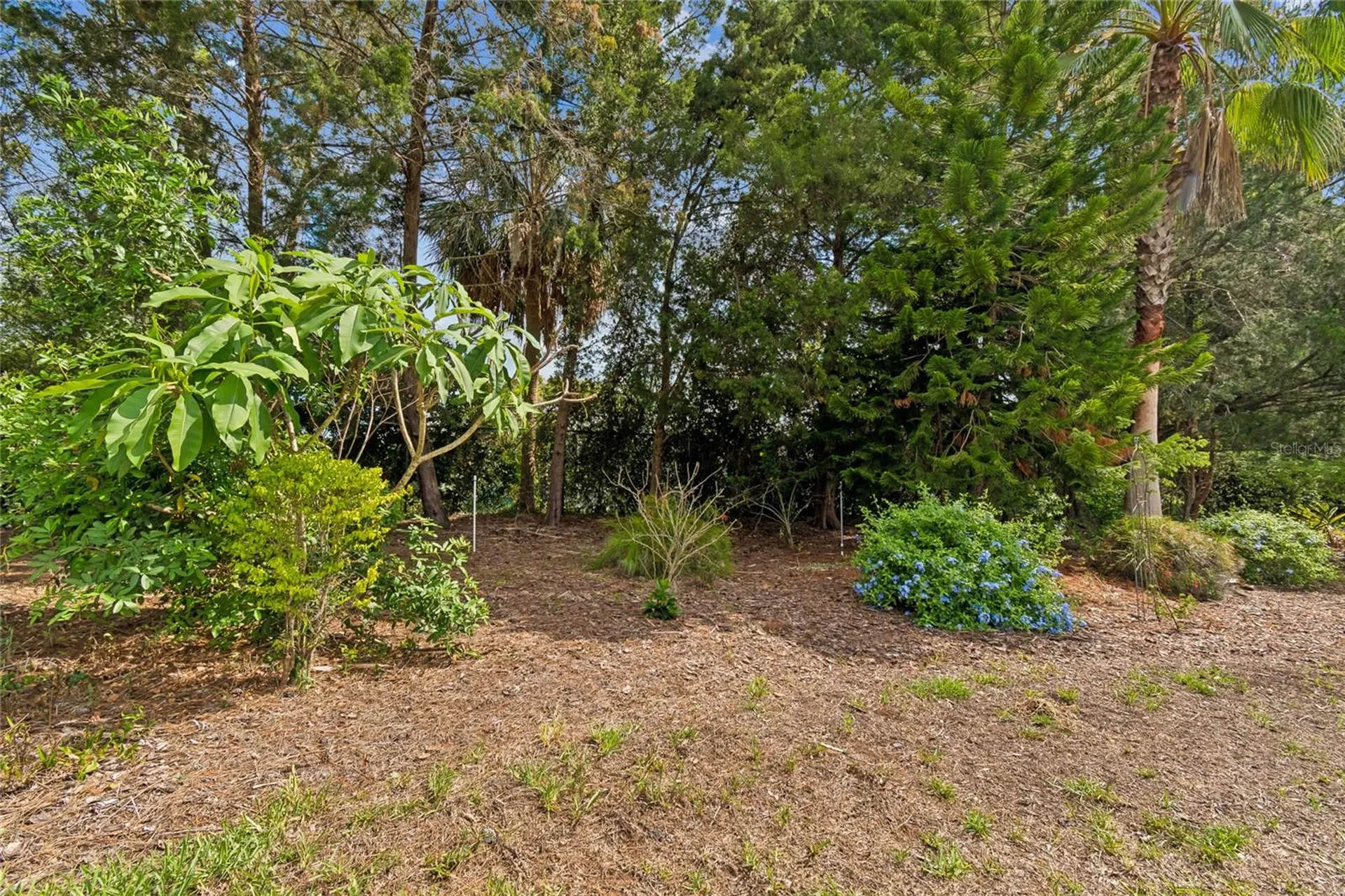 10919 Trelain Way Hudson FL 34667