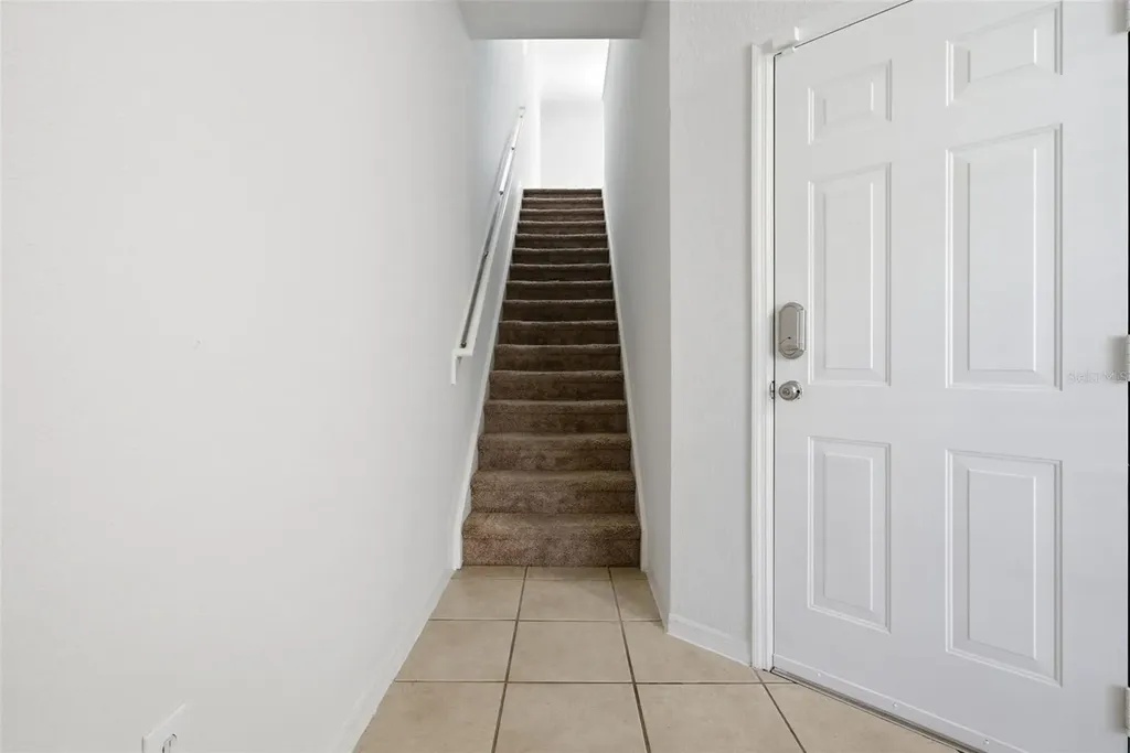 113 Grand Beach Place Tampa FL 33609