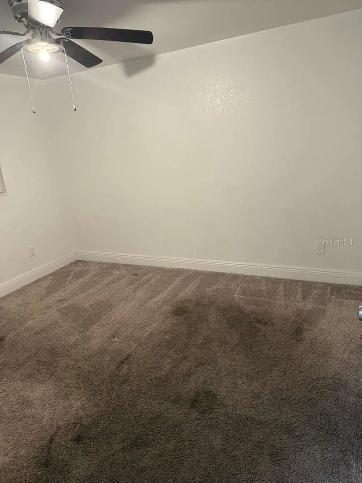 8518 Woodlake Drive Tampa FL 33615