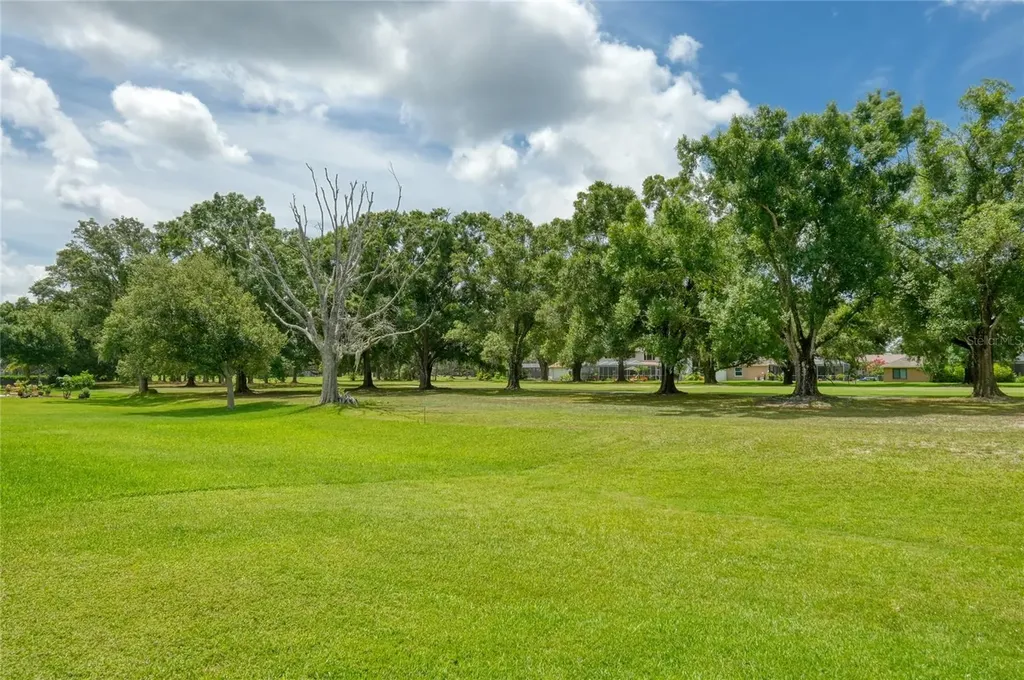 12512 Eagles Entry Drive Odessa FL 33556