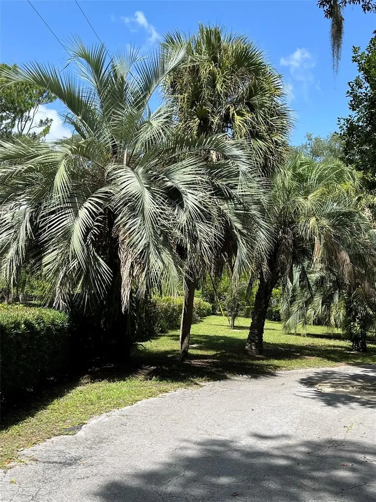 3933 SE State Road 21 Keystone Heights FL 32656