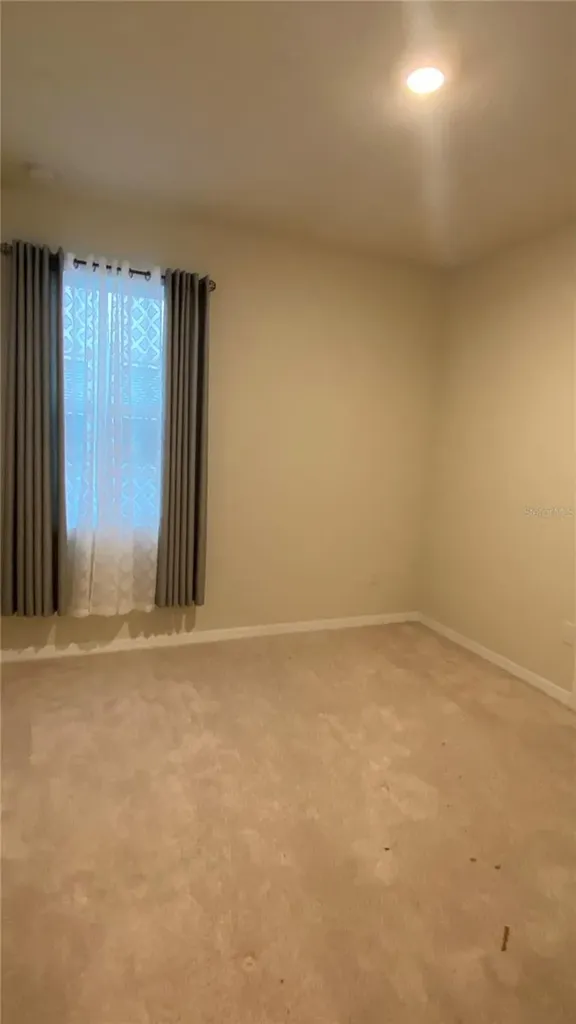 13515 Palmera Vista Drive Riverview FL 33579