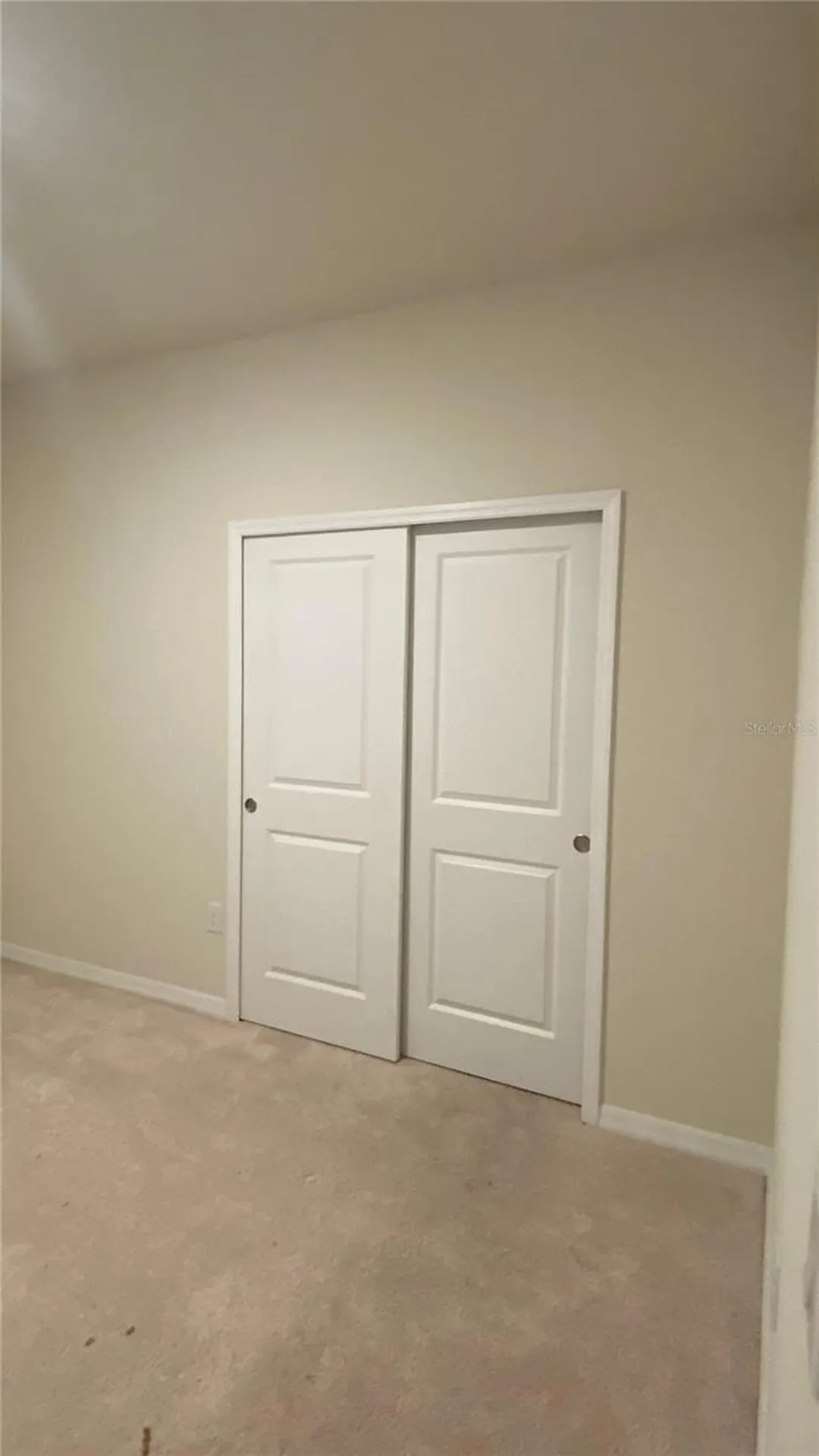 13515 Palmera Vista Drive Riverview FL 33579