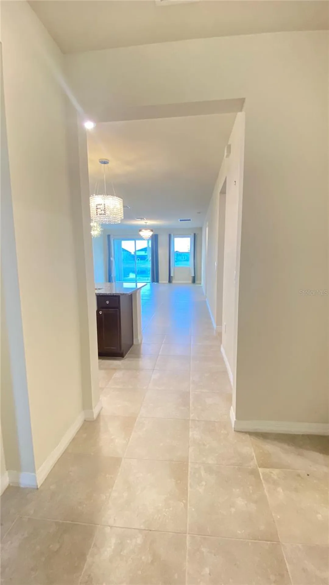 13515 Palmera Vista Drive Riverview FL 33579
