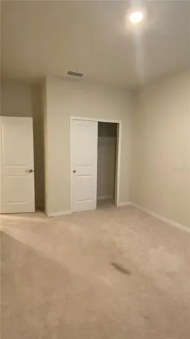 13515 Palmera Vista Drive Riverview FL 33579