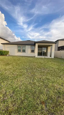 13515 Palmera Vista Drive Riverview FL 33579