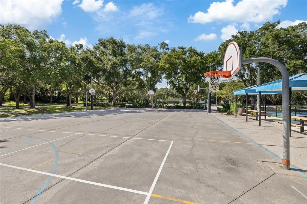 4151 La Salle Drive Palm Harbor FL 34685