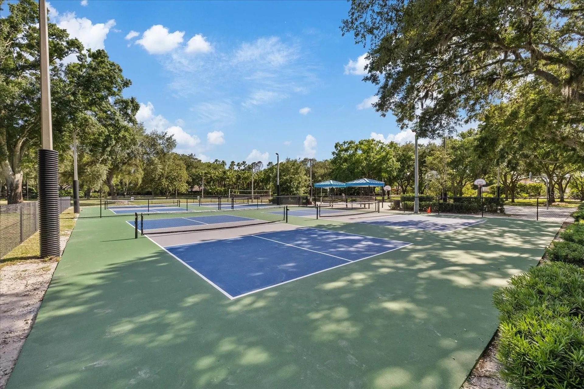 4151 La Salle Drive Palm Harbor FL 34685