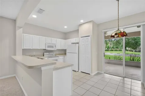 1005 Saint Ives Court Mount Dora FL 32757
