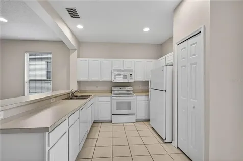 1005 Saint Ives Court Mount Dora FL 32757