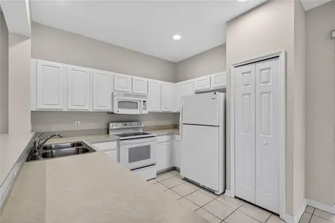1005 Saint Ives Court Mount Dora FL 32757