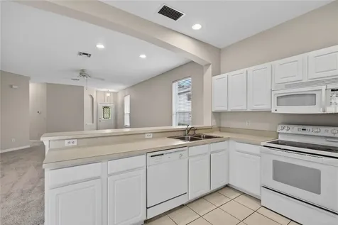 1005 Saint Ives Court Mount Dora FL 32757