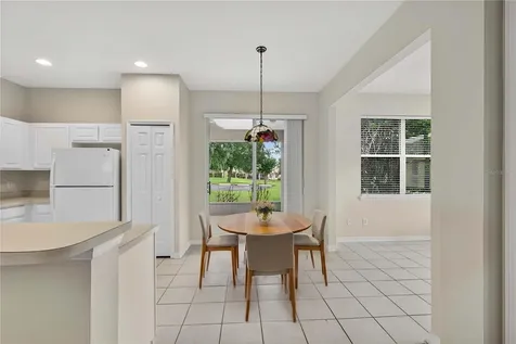 1005 Saint Ives Court Mount Dora FL 32757