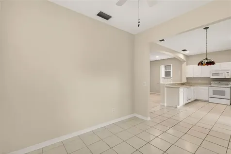 1005 Saint Ives Court Mount Dora FL 32757