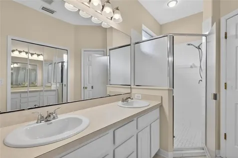 1005 Saint Ives Court Mount Dora FL 32757