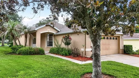 1005 Saint Ives Court Mount Dora FL 32757