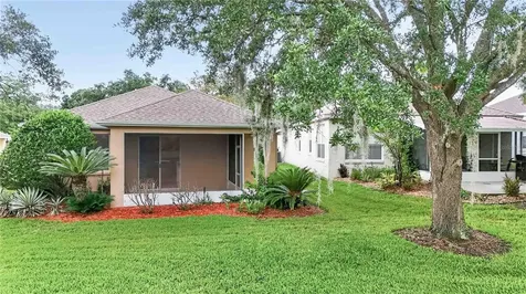 1005 Saint Ives Court Mount Dora FL 32757