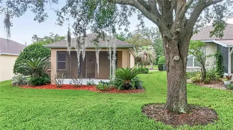 1005 Saint Ives Court Mount Dora FL 32757