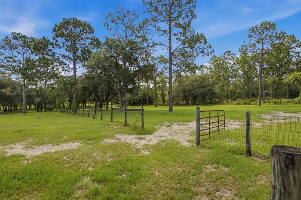 7391 SE 117th Terrace Morriston FL 32668