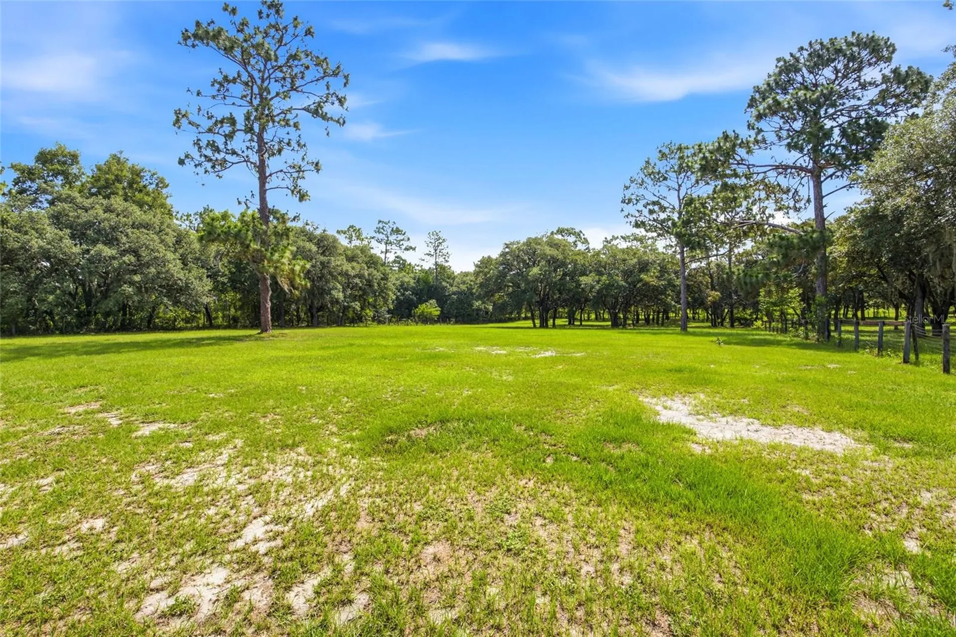 7391 SE 117th Terrace Morriston FL 32668