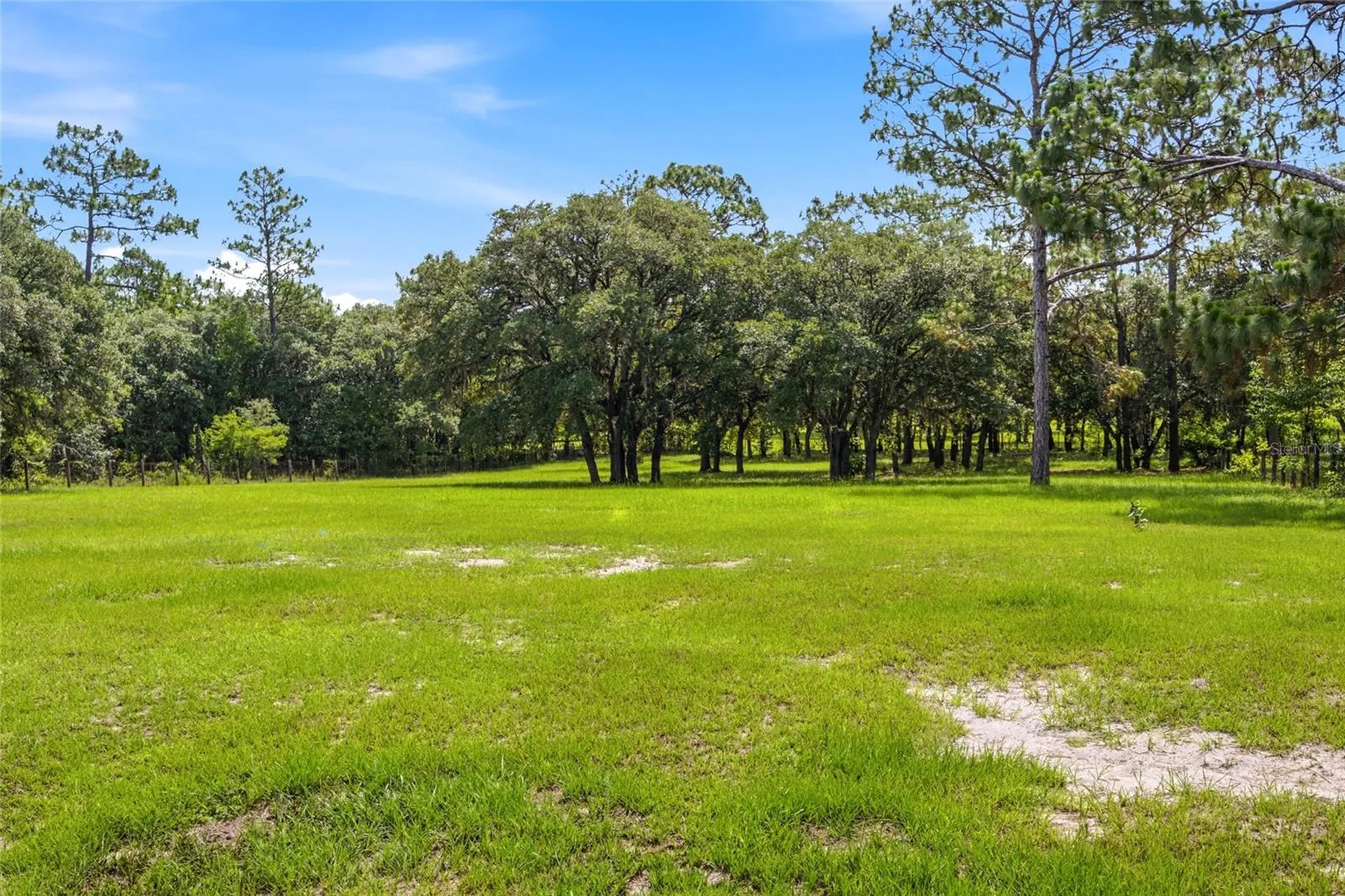 7391 SE 117th Terrace Morriston FL 32668