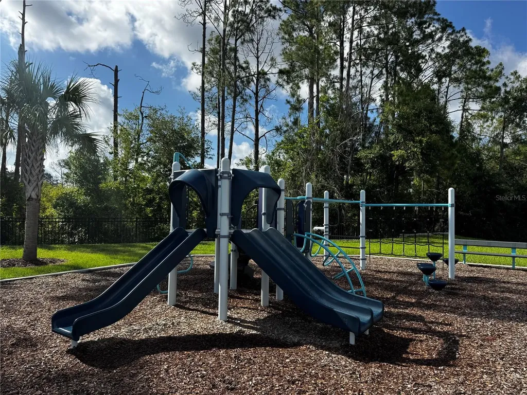 13129 Faro Court Winter Garden FL 34787