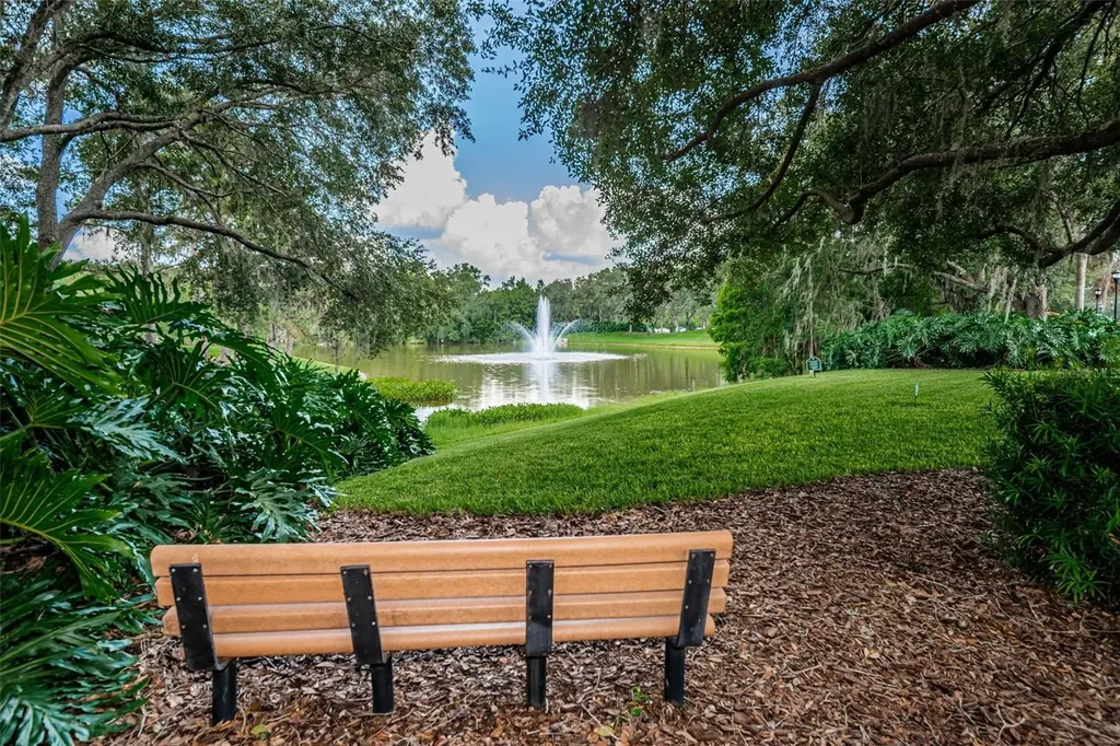 27432 Breakers Drive Wesley Chapel FL 33544