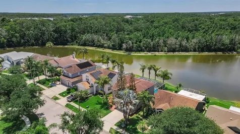 27432 Breakers Drive Wesley Chapel FL 33544