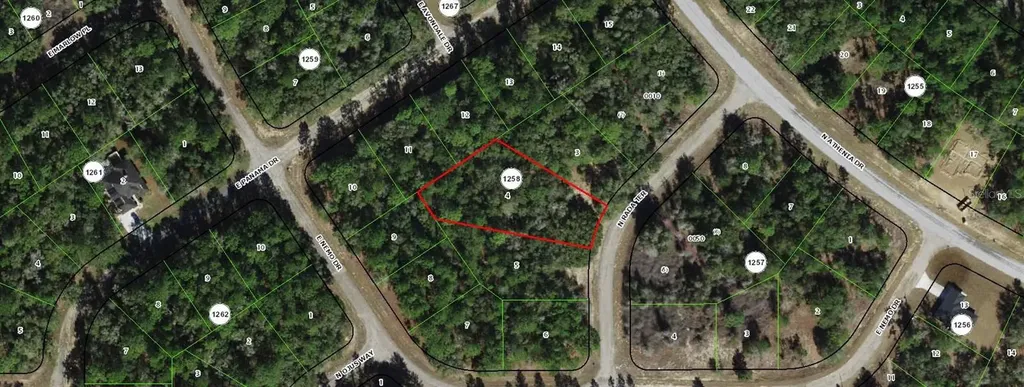 9328 N Rada Terrace Dunnellon FL 34434